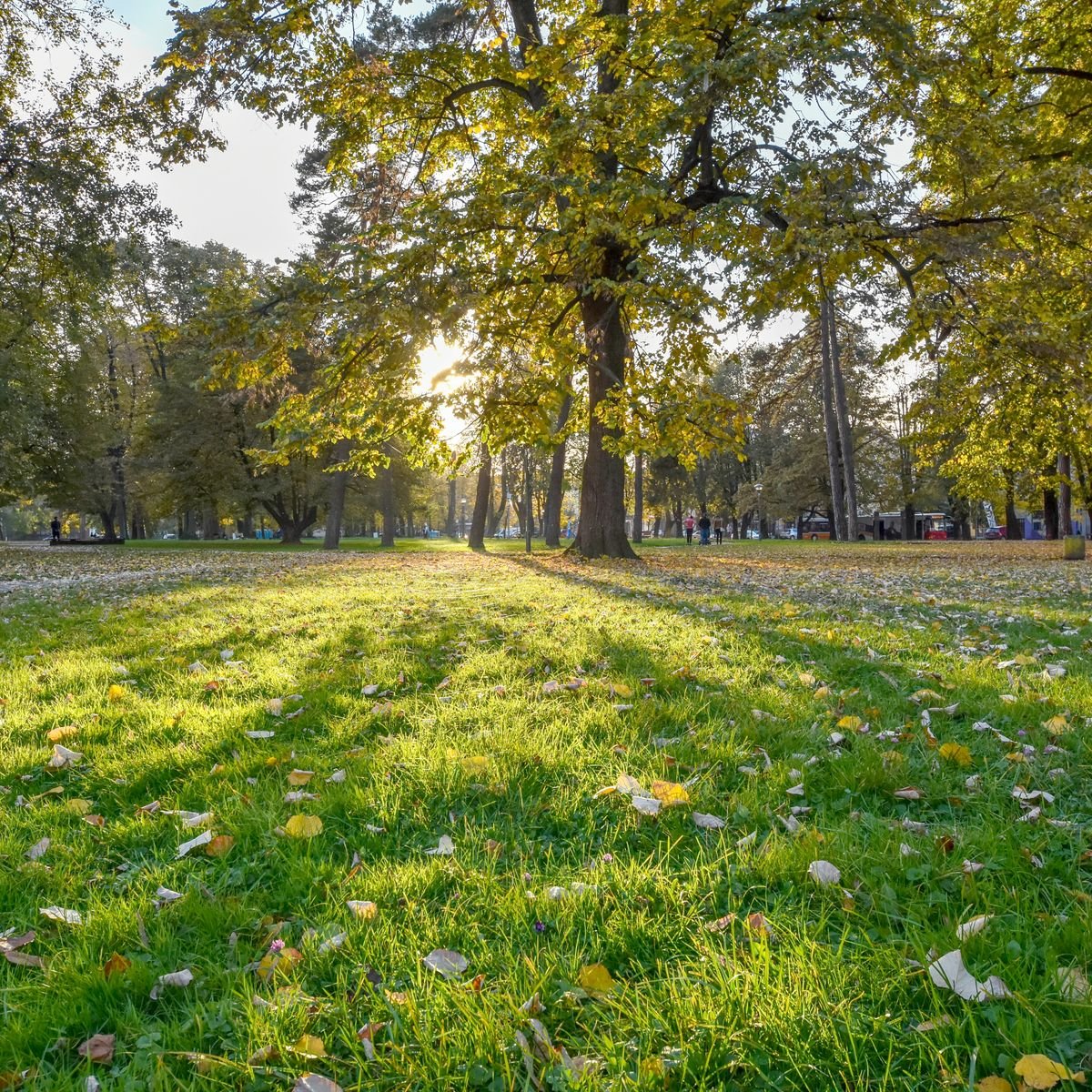 Banja Luka sa djecom