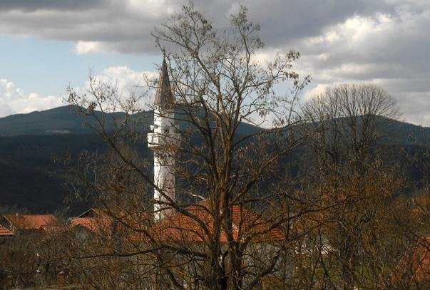 Sa kategorijom